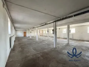 Pronájem skladu, Všejany, 253 m2