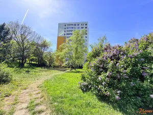 Prodej bytu 3+1, Praha - Strašnice, Pod strání, 68 m2