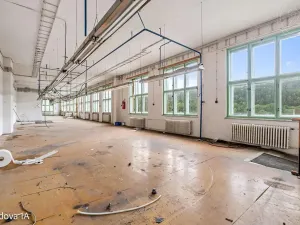Pronájem komerční nemovitosti, Děčín, Rudolfova, 5199 m2