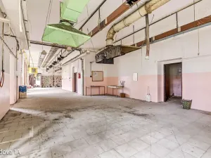 Pronájem komerční nemovitosti, Děčín, Rudolfova, 5199 m2