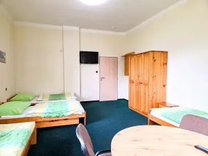 Prodej ubytování, Třinec, Husova, 360 m2