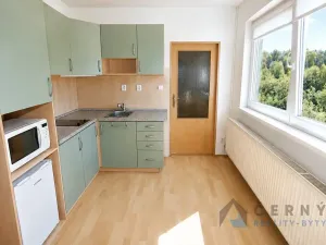 Prodej bytu 1+kk, Liberec, U Sadu, 29 m2