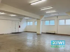 Pronájem skladu, Ostrava, Pavlovova, 110 m2