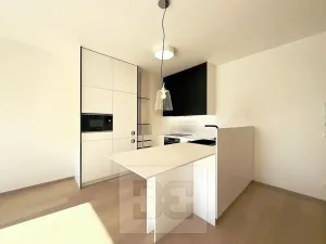 Pronájem bytu 2+kk, Praha - Holešovice, V háji, 58 m2
