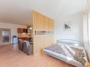Pronájem bytu 1+kk, Olomouc, Na Tabulovém vrchu, 42 m2