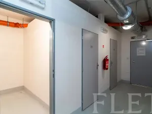 Pronájem bytu 1+kk, Praha - Žižkov, Olšanská, 43 m2