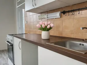 Pronájem bytu 2+1, Litvínov, K Loučkám, 60 m2