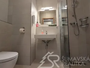 Prodej bytu 1+kk, Stachy, Zadov, 27 m2