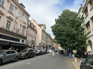 Prodej obchodního prostoru, Praha - Nové Město, 300 m2