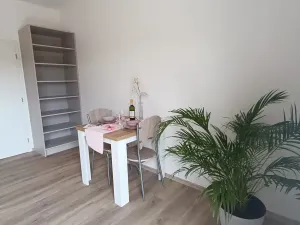 Pronájem bytu 1+kk, Praha - Uhříněves, Douchova, 30 m2