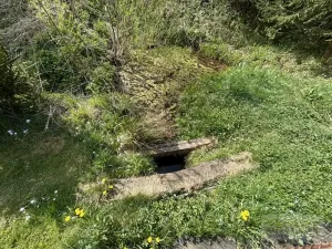 Prodej zahrady, Meziměstí, 497 m2