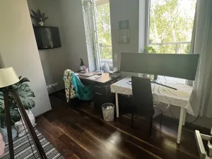 Pronájem bytu 4+kk, Ostrava, Sadová, 122 m2