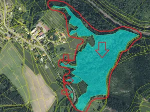 Prodej podílu lesa, Železný Brod, 5530 m2