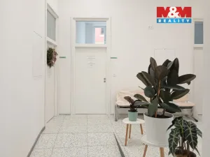 Prodej obchodního prostoru, Opava - Město, Masarykova třída, 160 m2