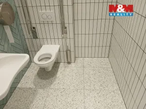 Prodej obchodního prostoru, Opava - Město, Masarykova třída, 100 m2