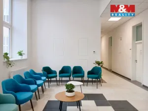 Prodej obchodního prostoru, Opava - Město, Masarykova třída, 60 m2