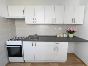 Pronájem bytu 3+1, Litvínov, Valdštejnská, 68 m2