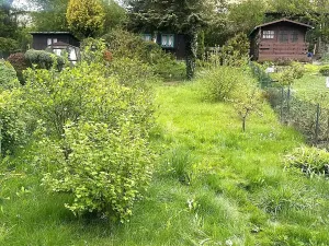 Prodej zahrady, Toužim, 150 m2