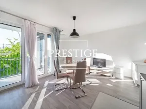 Pronájem bytu 1+kk, Praha - Žižkov, Olgy Havlové, 40 m2