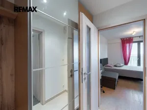 Pronájem bytu 1+kk, Praha - Žižkov, Olšanská, 37 m2