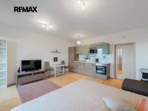 Pronájem bytu 1+kk, Praha - Žižkov, Olšanská, 37 m2