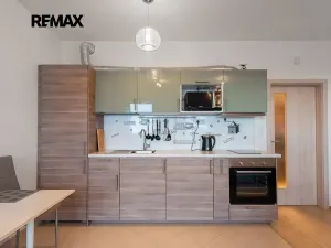 Pronájem bytu 1+kk, Praha - Žižkov, Olšanská, 37 m2