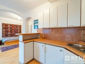 Pronájem bytu 4+kk, Brno, Zeyerova, 167 m2