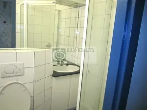 Pronájem bytu 1+kk, Brno, Botanická, 25 m2