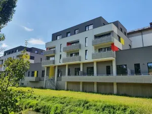 Pronájem bytu 1+kk, Jihlava, Křižíkova, 53 m2