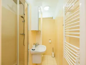 Pronájem bytu 2+1, Lukavice, 44 m2