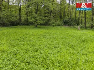 Prodej lesa, Červené Pečky - Bohouňovice I, 491 m2