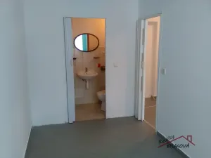 Pronájem bytu 1+1, Kostelec nad Labem, T. G. Masaryka, 45 m2