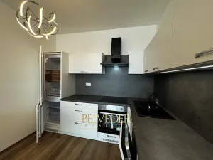 Pronájem bytu 2+kk, Praha - Hloubětín, Sobí, 55 m2