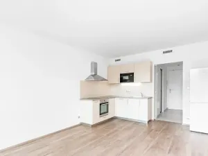 Pronájem bytu 1+kk, Praha - Libeň, Kurta Konráda, 36 m2