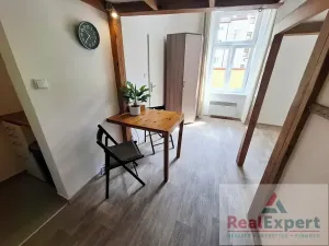 Pronájem bytu 1+kk, Praha - Nusle, Mečislavova, 20 m2