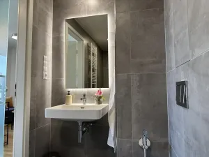 Pronájem bytu 2+kk, Praha - Žižkov, Krásova, 38 m2