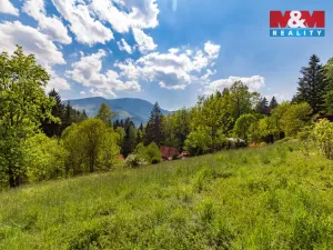 Prodej pozemku pro bydlení, Ostravice, 3902 m2