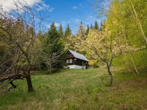 Prodej chaty, Prostřední Bečva, 150 m2
