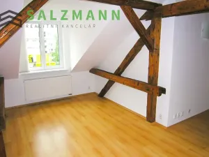 Pronájem bytu 2+kk, Plzeň, Rokycanská, 60 m2