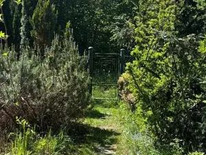 Prodej chaty, Ostravice, 60 m2
