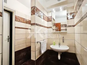 Prodej činžovního domu, Opava, Slezská, 1300 m2