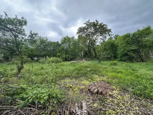 Prodej pozemku pro bydlení, Velká Kraš, 1290 m2
