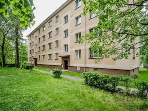 Prodej bytu 3+1, Karviná, U Lesa, 62 m2