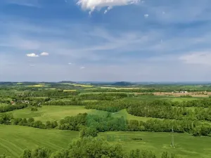 Prodej louky, Vrchotovy Janovice, 274000 m2