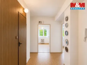 Prodej bytu 4+1, Ostrava - Moravská Ostrava, Zelená, 74 m2