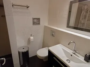 Pronájem bytu 1+kk, Praha - Podolí, Brabcova, 44 m2