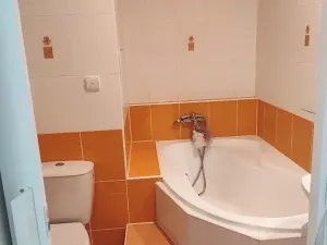 Prodej bytu 1+1, Jeseník, Dukelská, 37 m2