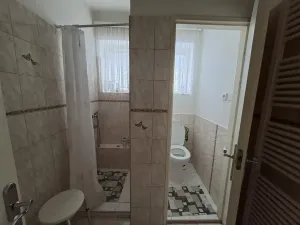 Prodej rodinného domu, Uherský Ostroh, Sv. Čecha, 180 m2