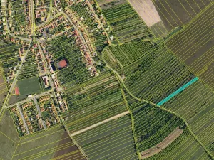 Prodej pole, Velešovice, 12974 m2
