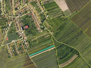 Prodej pole, Velešovice, 2950 m2